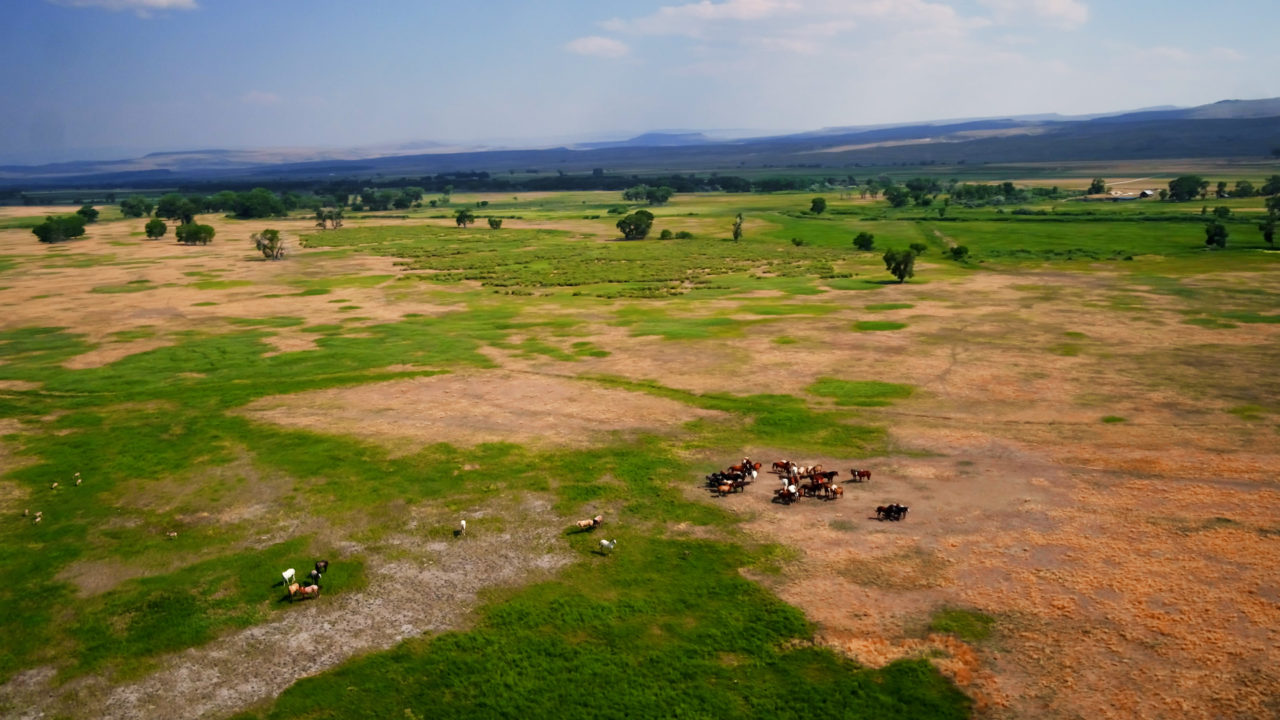 History Arapaho Ranch Field Station